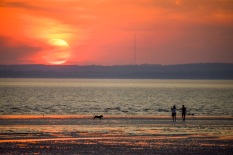 Dog Walking at Sunset, Weston Bay, Weston-super-Mare, 24/07/2014